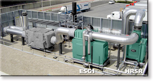 CHP Case Study